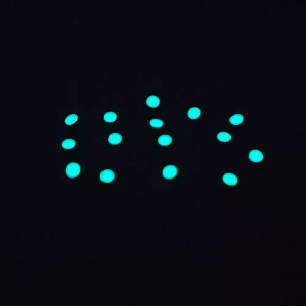 Rolex Submariner Luminous Bezel Insert Pip