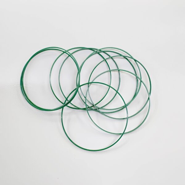 Omega De Ville green case back gasket