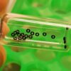 High-Precision Waterproof Gaskets (High-Quality Elastic Rubber Rings)