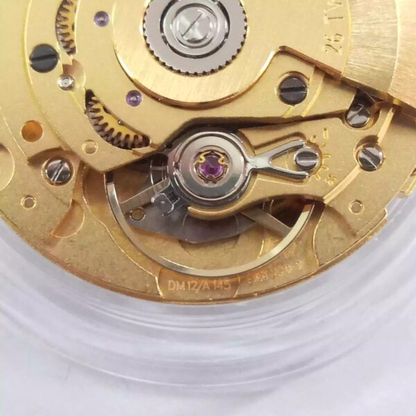 Watch Accessories, Swiss Imported ETA Mechanical SW200-1 Movement, SW220-1 Movement with Double Calendar (Gold & White Movements)