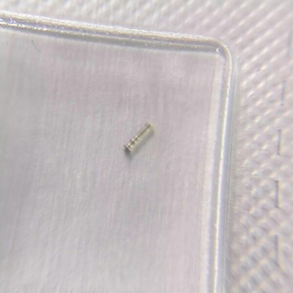 Watch Movement Parts / Watch Accessories - Original Swiss ETA 2892 Movement, Center Tube (Part No. 161)