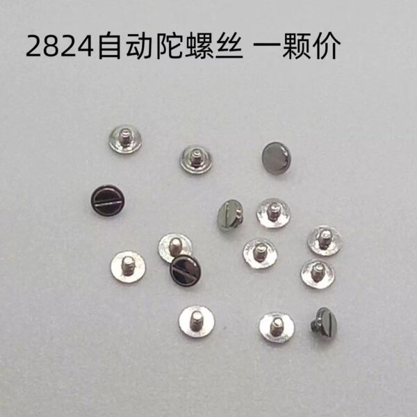 10 Screws and Parts for 2824, 2836 Movements: Bridge Screws, Movement Retaining Screws, Bearing Screws, Movement Retaining Plates, Main Ratchet Wheels
