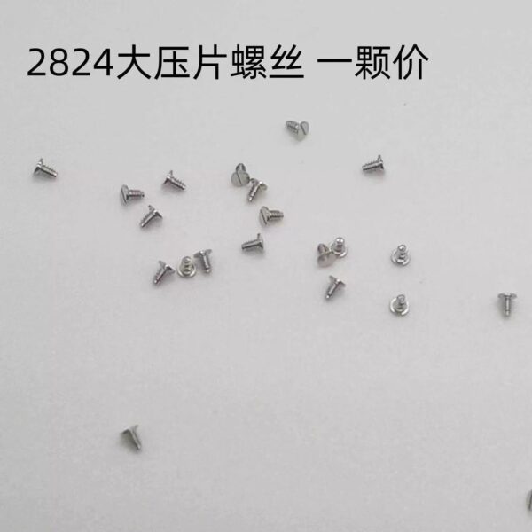 13 Screws and Parts for 2824, 2836 Movements: Bridge Screws, Movement Retaining Screws, Bearing Screws, Movement Retaining Plates, Main Ratchet Wheels