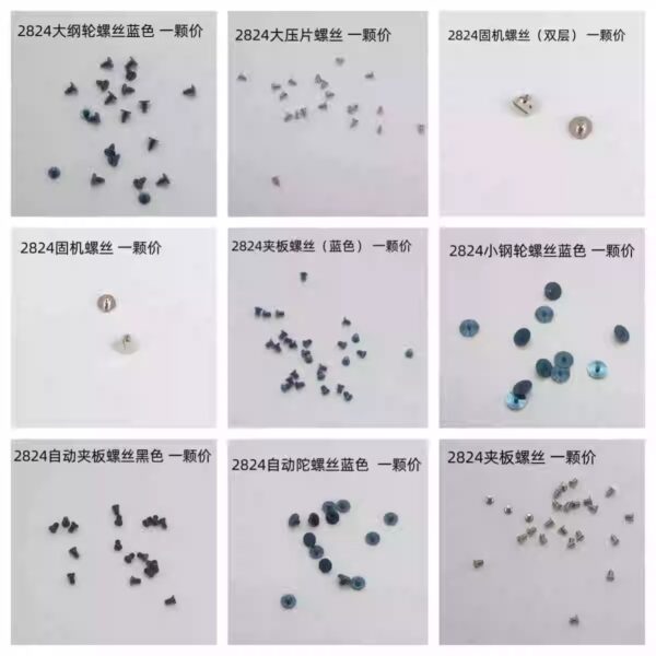 14 Screws and Parts for 2824, 2836 Movements: Bridge Screws, Movement Retaining Screws, Bearing Screws, Movement Retaining Plates, Main Ratchet Wheels