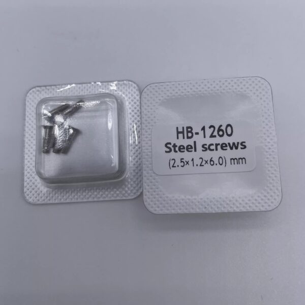 1‘’ Watch Accessories: Hublot-Style Case Bezel Screws, Full Steel Hublot Watch Band, Silver Screws for Clasp & Case