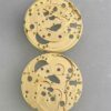 3 Watch Accessories: Swiss Original Imported ETA2836-2 Movement, 2836-100 Main Plate