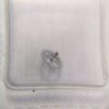 Watch Accessories: ETA2824, 2836, 2834 Original Escape Wheel, Pallet Wheel, Pallet, Part No. 2824-705