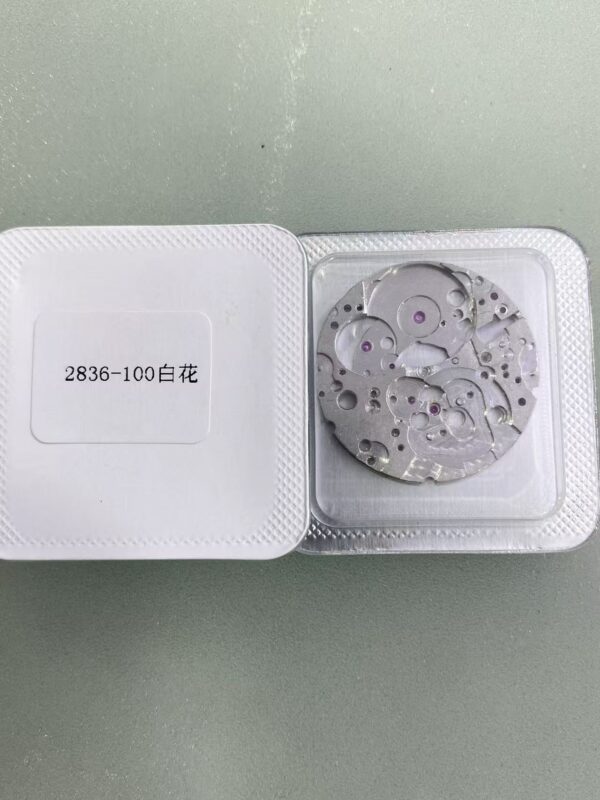 6 Watch Accessories: Swiss Original Imported ETA2836-2 Movement, 2836-100 Main Plate