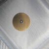 Watch Accessories: Swiss Original ETA2824 Automatic First Wheel for 2836, 2834 Movements, 2824 Main Wheel, Part No. 2824-1482