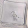 Watch Accessories: Swiss Imported ETA Movement 2836-2, 2836 Date Spring, Date Crown Spring, 2784