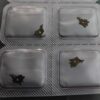 9 Watch Accessories: Brand - new Original Swiss - imported ETA 2836 - 2595 Calendar Quick - Set Presser Plate, Accessory for 2836 - 2