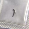 Watch Movement Parts - Brand New Original Swiss ETA 2892 Movement, Setting Lever (Setting Lever, No. 443)