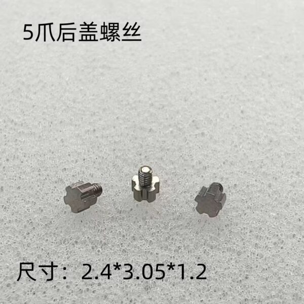 Watch Accessories, Richard Mille, Five-prong Steel Bracelet Screw, Watch Case Back, Five-pointed Star Screw