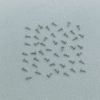 Miyota Movement Accessories: Fixing Screws, Fixing Plates for 6T28/6T51/6T15 Movements