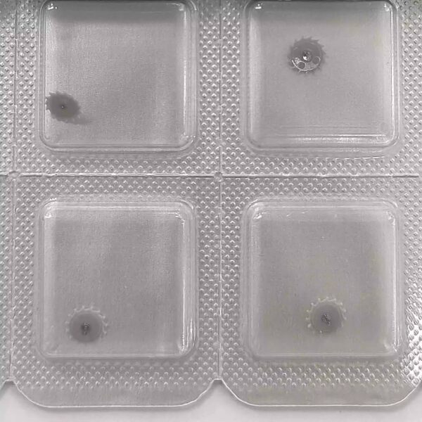 1= Original Swiss ETA C07.111 Plastic Escapement Set: Pallet Fork and Escape Wheel