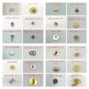7750 Movement Parts – Chronograph & Automatic Wheels, Barrel Gear, Transmission, Hour/Minute/Second Wheels