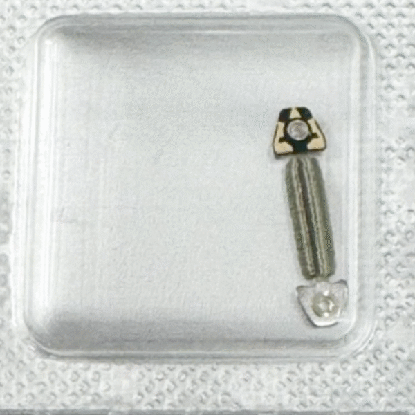 Genuine Imported Swiss ETA 251.262 Coil (Red/Green), 251.272 Coil with IC Circuit Board, Watch Accessories