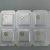 4 Genuine Swiss Mainspring & Winding Stem, Pallet, Balance Wheel for 7001 Movement