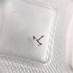 4= rand New Original Swiss SW300 Movement Watch Accessory, Pallet Fork (Skeletonized Pallet Fork)