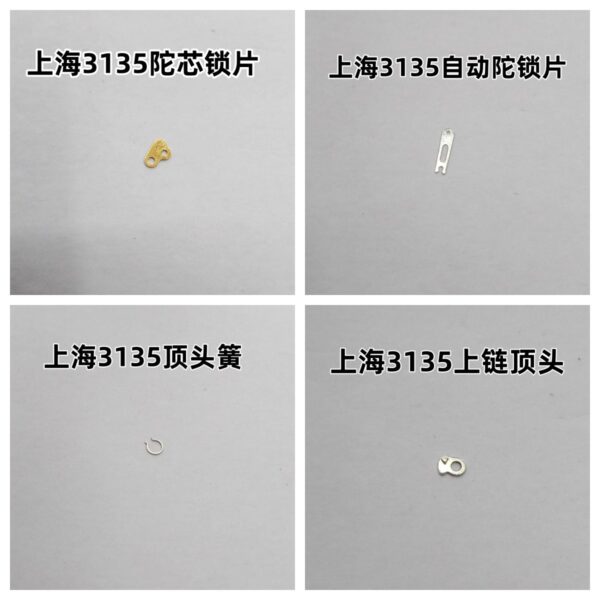 Rotor Core Locking Plate, Automatic Rotor Locking Plate, Winding Plunger, Plunger Spring (for Shanghai 3135 Movement)