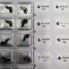 -- Swiss Ronda 751 / 753 / 762 / 763 Quartz Watch Circuit Board, IC Circuit Board, Coil, Watch Accessories