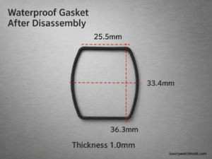 RM Case Back Gasket